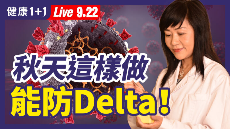 【重播】中醫師推演未來疫情 秋天如何預防Delta？