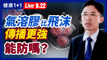 【重播】气溶胶比飞沫传播病毒更强 能防吗？