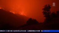 加州山火威胁巨型红杉林 国家公园紧急关闭