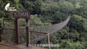 1000步的缤纷台湾：小乌来风景区走步道 蒐集瀑布吊桥