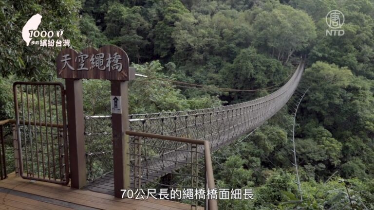 1000步的繽紛台灣：小烏來風景區走步道 蒐集瀑布吊橋