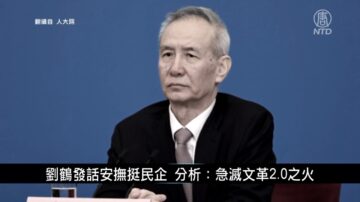 中国新闻简讯：刘鹤发话安抚挺民企 分析：急灭文革2.0之火