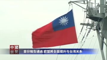 【禁闻】首份报告通过 欧盟将全面提升与台湾关系