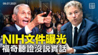 【橫河觀點】NIH文件曝光 福奇聽證沒說實話