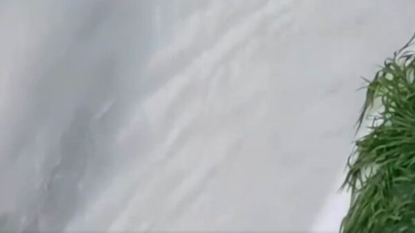 長江附近湧出牛奶水。湖北省黃岡市武穴市梅府社區大泉洞泉眼附近，出現一條奶白色水帶，水邊植物上附著白色粉末狀物體。（視頻截圖）