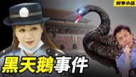 【時事小品】黑天鵝事件
