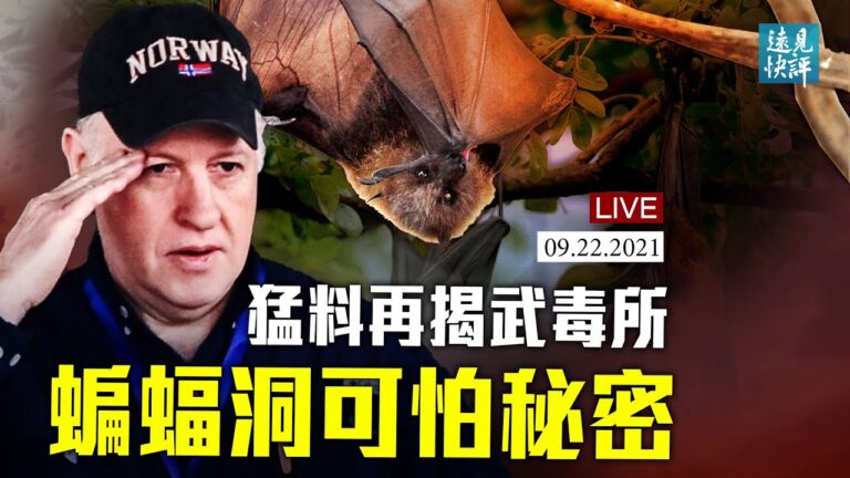 【遠見快評】新文件再揭武毒所蝙蝠洞可怕祕密