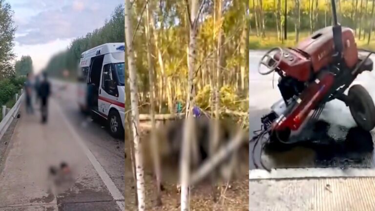 黑龍江重大車禍15死1傷 死者多是摘花民工(視頻)
