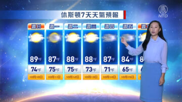 休斯顿一周天气预报