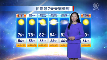 休斯顿一周天气预报