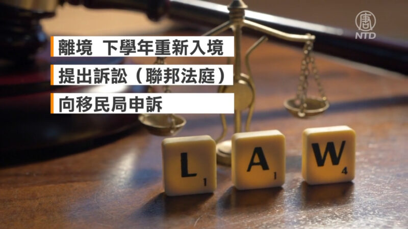 紐約50名中國留學生被終止身分 律師：可解決