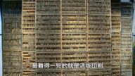 【廣告】美麗心台灣