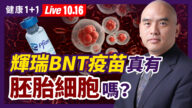 【健康1+1】辉瑞BNT疫苗中 真有“胚胎细胞”吗？