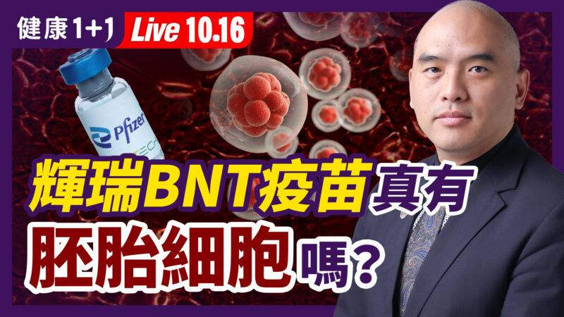 【健康1+1】辉瑞BNT疫苗中 真有“胚胎细胞”吗？