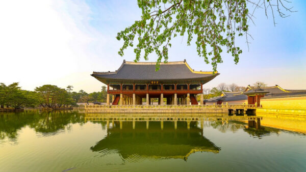 变异服饰将给人带来什么 服装 化装 新唐人中文电视台在线