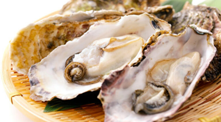 掉髮、常感冒是缺鋅？這類食物補鋅更快