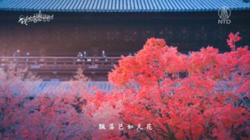 【我的音樂想想】舒伯特降G大調即興曲「京都紅葉」