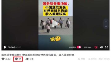 官称中国基尼系数排名靠前 “爱国者”点赞大翻车