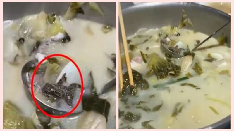 江蘇女子到餐館吃酸菜魚 吃出一隻癩蛤蟆