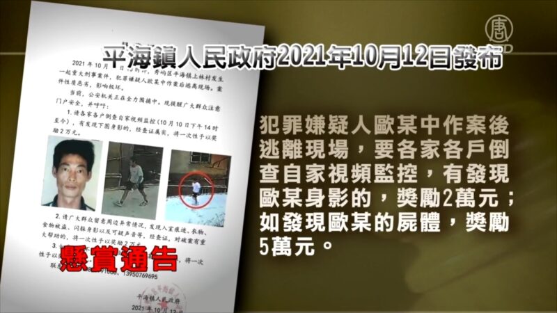 福建平海政府懸賞: 活2萬死5萬 引熱議