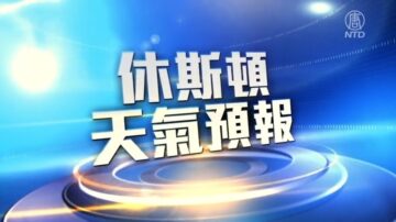 休斯顿一周天气预报