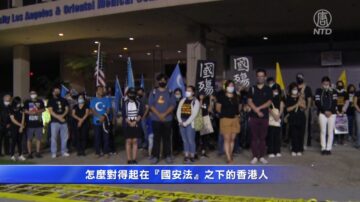 「十一」國殤 洛近百港人悼念不忘手足