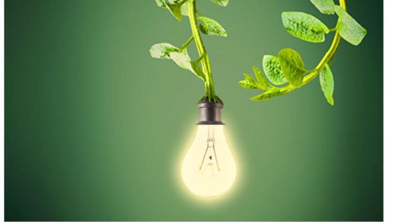 MIT新技術讓植物可以充電並發光