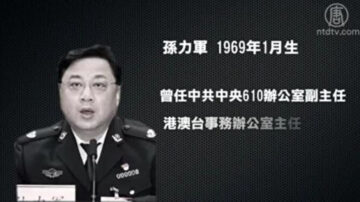 副部级官员正国级罪名 孙力军到底犯了什么事？