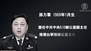 袁斌：關於「孫力軍政治團伙」的三大疑團