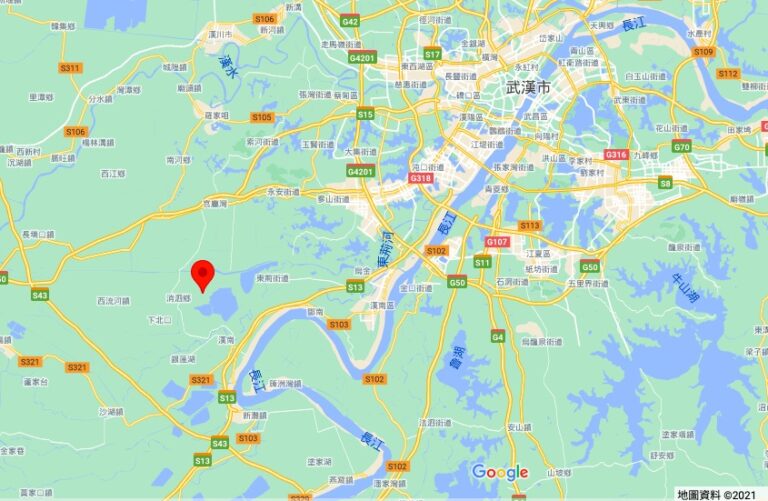 武漢村支書一家五口被殺 39歲嫌犯再殺兩人後跳江