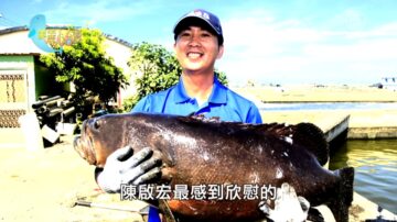 美麗心台灣：極力推展零用藥養魚 陳啟宏榮獲神農獎