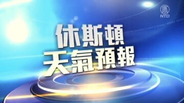 休斯顿一周天气预报