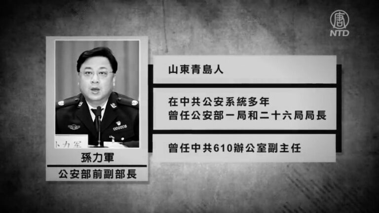 連線王愉賀：權鬥激烈？孫力軍被雙開 官方措辭罕見