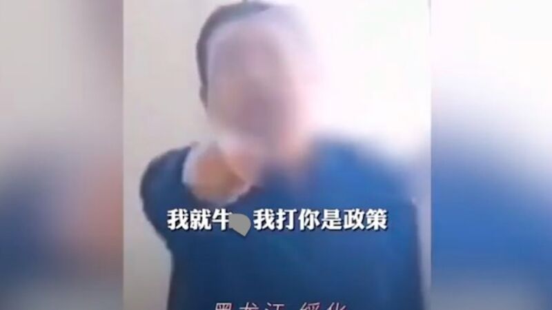 黑龙江村官大骂村民 放狠话：打你是政策(视频)