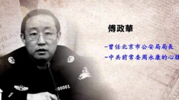 前司法部长傅政华被双开 属孙力军团伙