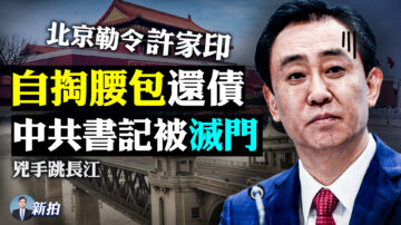 【拍案驚奇】許家印跌慘 當局給了他一個「重任」