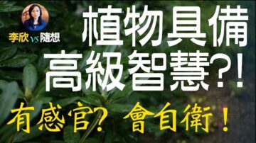 【李欣隨想】植物具備高級智慧！？有自己的感官！？