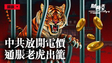 【财商天下】中共放开电价 通胀老虎出笼