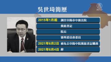 【落馬官員】阜陽中院前院長吳世琦被審查 曾迫害法輪功