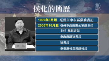 【落马官员】安徽宿州政法委书记、湖北高法政治部主任被查 曾迫害法轮功