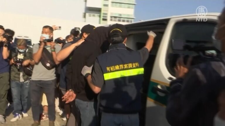 香港查獲890公斤澳洲龍蝦 運往中國大陸