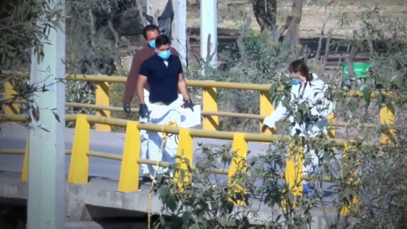 毒枭抢地盘 墨西哥桥上树上赫见8尸吊挂