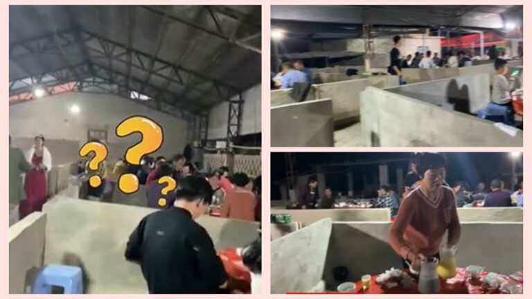 福建人豬圈裡辦婚宴 女賓客：沒味道