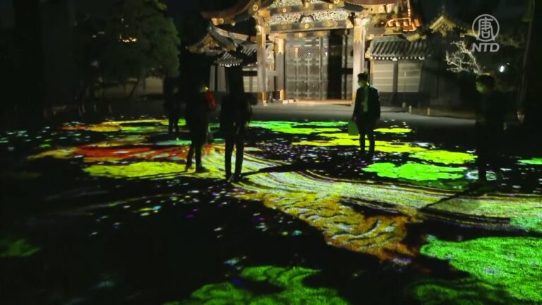 京都二条城錦秋夜宴 疫情下再度吸睛