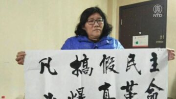 江蘇活動人士徐秦被收監 警察逼其夫離婚