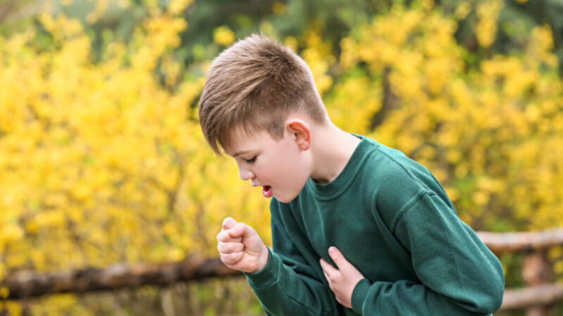 兒童咳嗽當心哮吼 秋天易發作 何時快就醫？