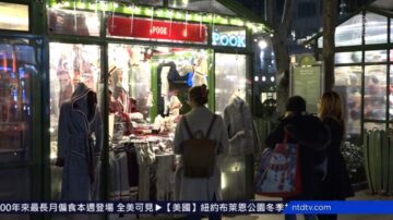 紐約布萊恩公園冬季村 170家節日商店迎客