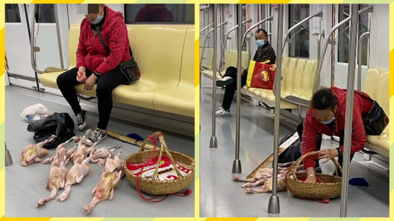 南京大媽地鐵內「擺攤賣雞」 網友瞧傻眼