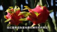【廣告】美麗心台灣