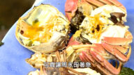 【廣告】美麗心台灣